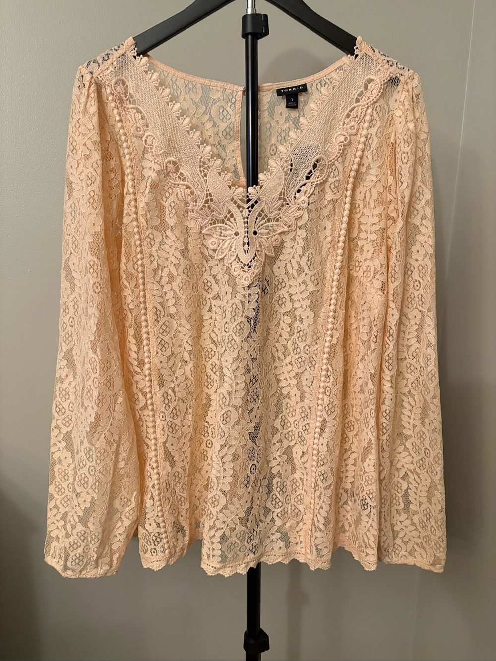 NWT Torrid Size 1 Lace Long-Sleeve V-Neck Blouse in Blush